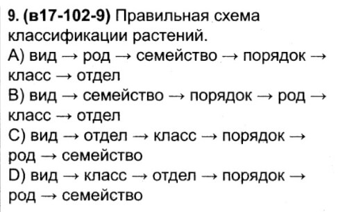 Схема классификации растений вид род семейство порядок