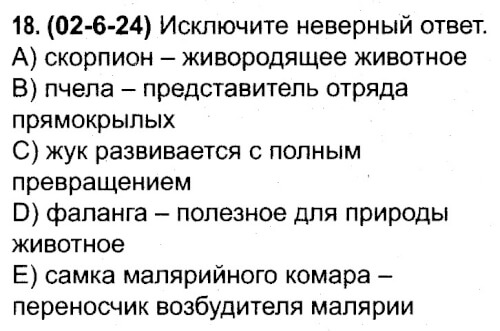 Исключите неверную формулировку проект требует детальной проработки системы действий