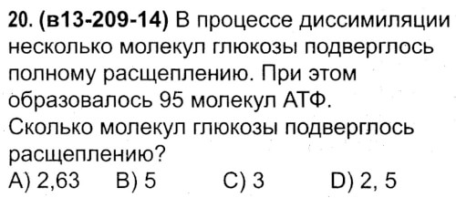 Сколько молекул глюкозы подверглось расщеплению