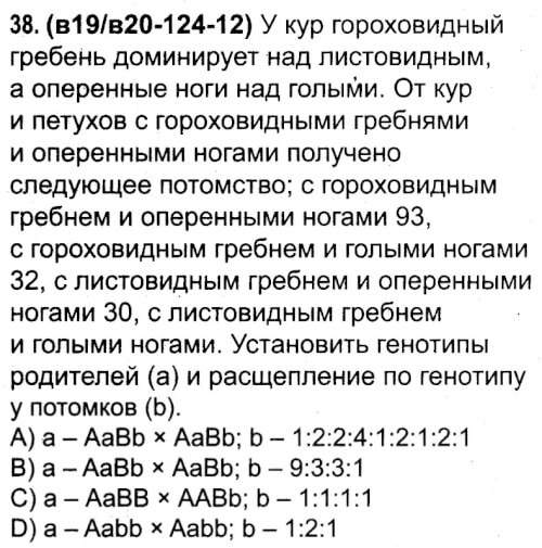 Гороховидный гребень. У кур ноги доминируют над неоперенными а гороховидный гребень. Гороховидный и листовидный гребень.