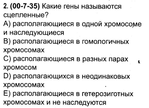 Как называть гену. Какие гены называются сцепленными. Какие гены называют сцепленными ответ. Одинаковые гены называются.