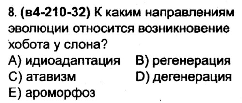 К какому времени относится появление этого документа какое название получил этот проект